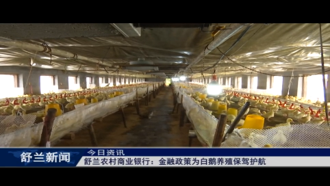 舒兰农村商业银行：金融政策为白鹅养殖保驾护航