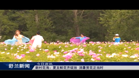 舒兰市新村花海：夏至鲜花齐绽放 消暑赏花正当时
