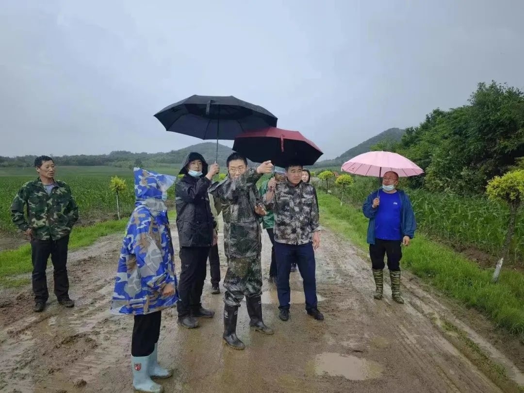 舒兰市领导到金马镇检查防汛工作