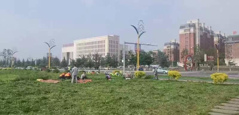 创城进行时丨舒兰市城市管理行政执法局：抓好创城工作 园林绿化在行动