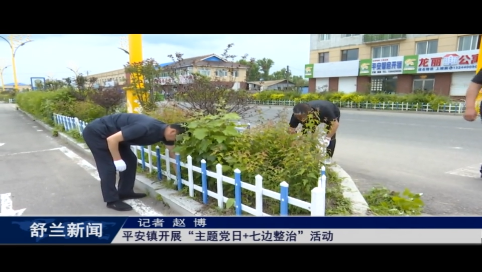 舒兰市平安镇开展&ldquo;主题党日+七边整治&rdquo;活动