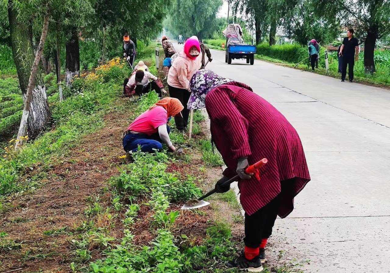创城进行时丨舒兰市莲花乡创城路上的&ldquo;加减乘除&rdquo;