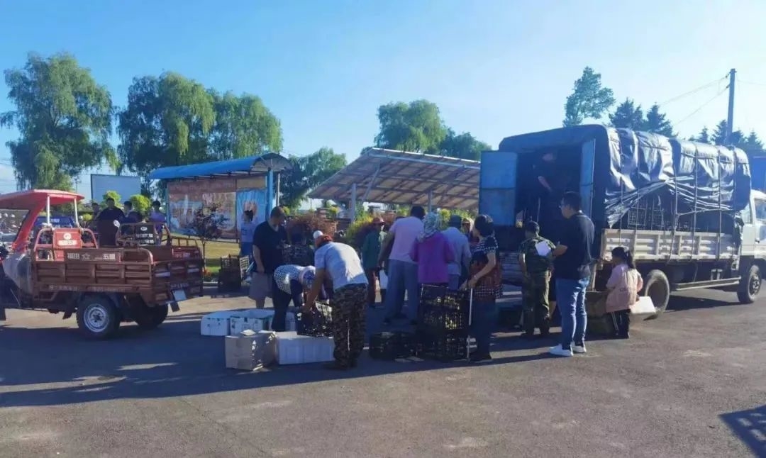 乡村振兴丨舒兰市莲花乡：发展&ldquo;庭院养鹅&rdquo;助力脱贫户稳定增收