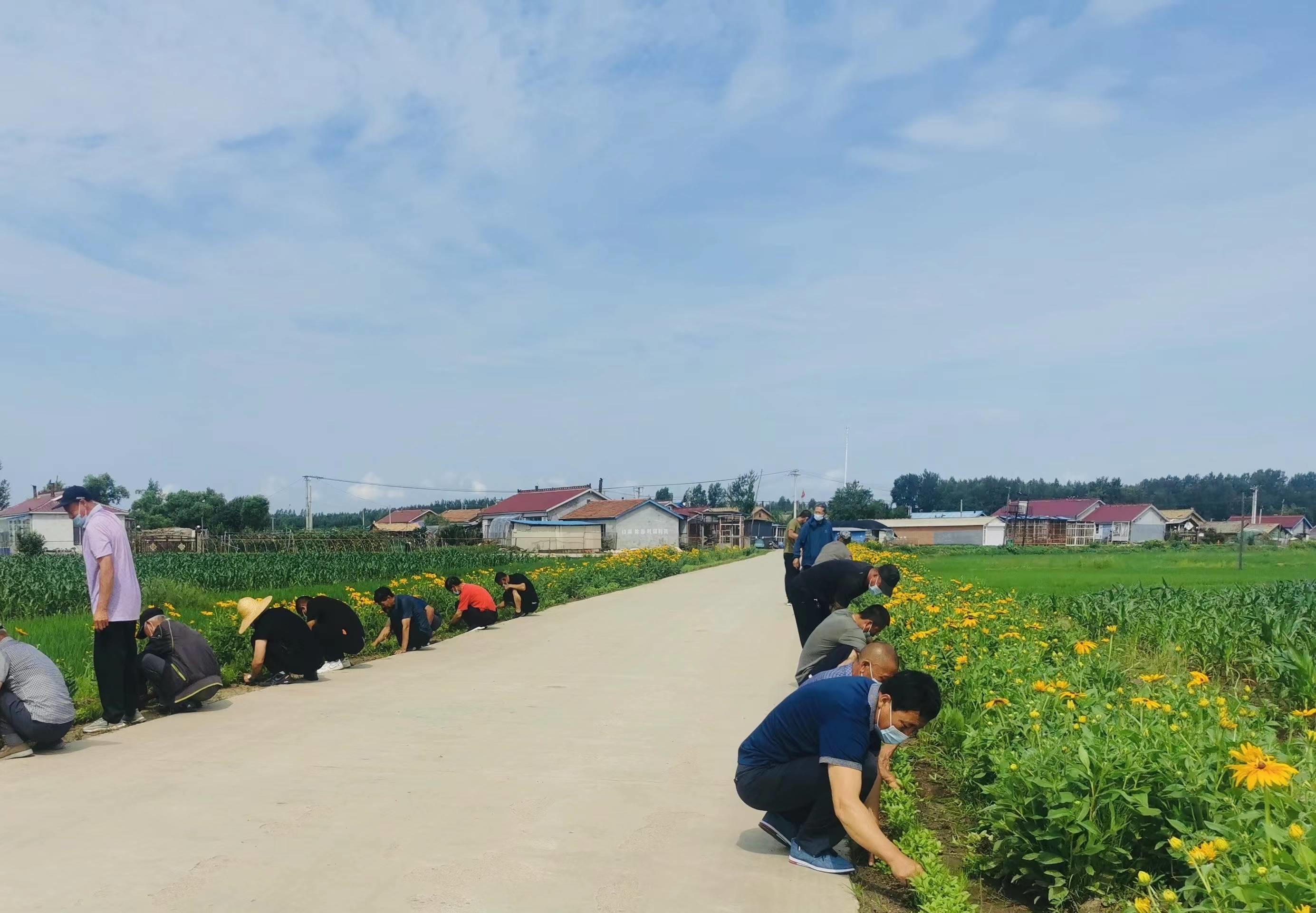 创城进行时丨七里乡：一座城、一条心、一起拼、一定赢