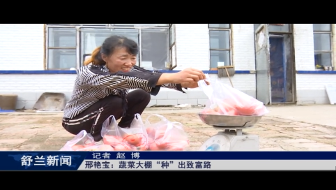 邢艳宝：蔬菜大棚&ldquo;种&rdquo;出致富路