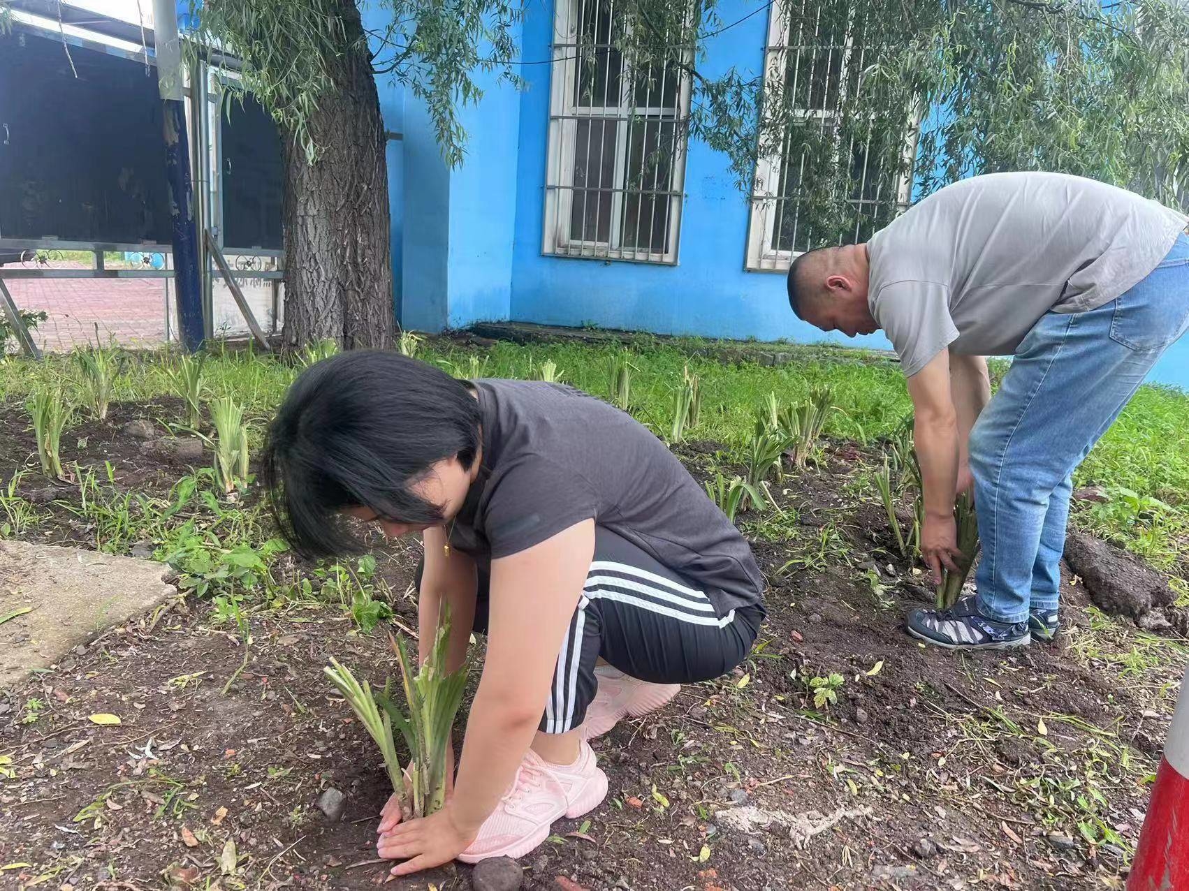&ldquo;七边&rdquo;治理在行动丨舒兰市审计局：除草种花填水沟 美化社区新环境