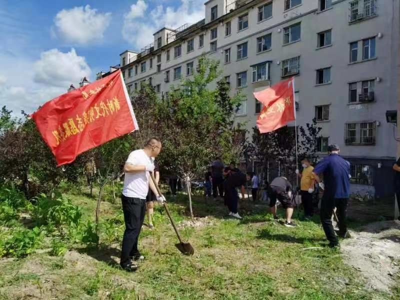创城进行时丨舒兰市林业局开展小区环境卫生整治志愿服务活动
