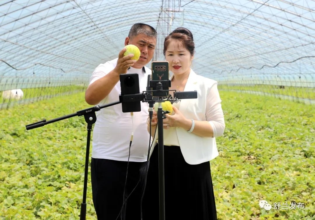 乡村振兴丨香瓜棚里的直播间