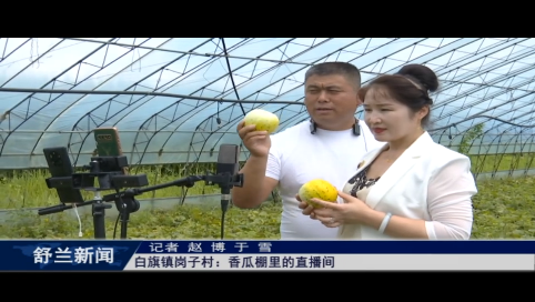 舒兰市白旗镇岗子村：香瓜棚里的直播间