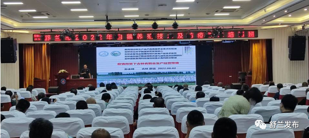 乡村振兴丨舒兰市举办白鹅养殖及疫病防控培训班