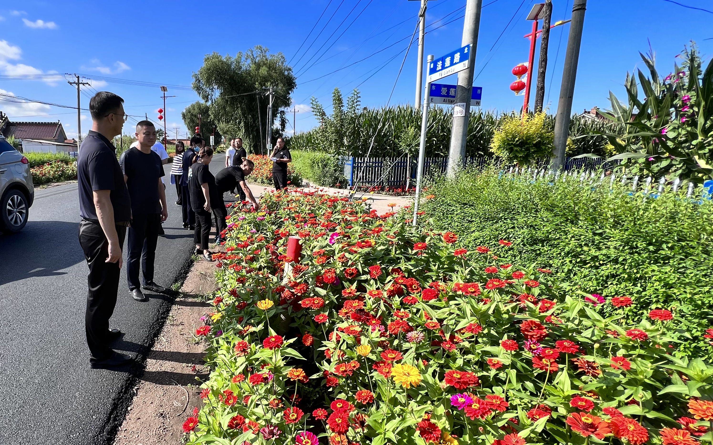 创城进行时丨舒兰市莲花乡开展&ldquo;七边&rdquo;农村人居环境&ldquo;大整治、大提升、大评比&rdquo;活动