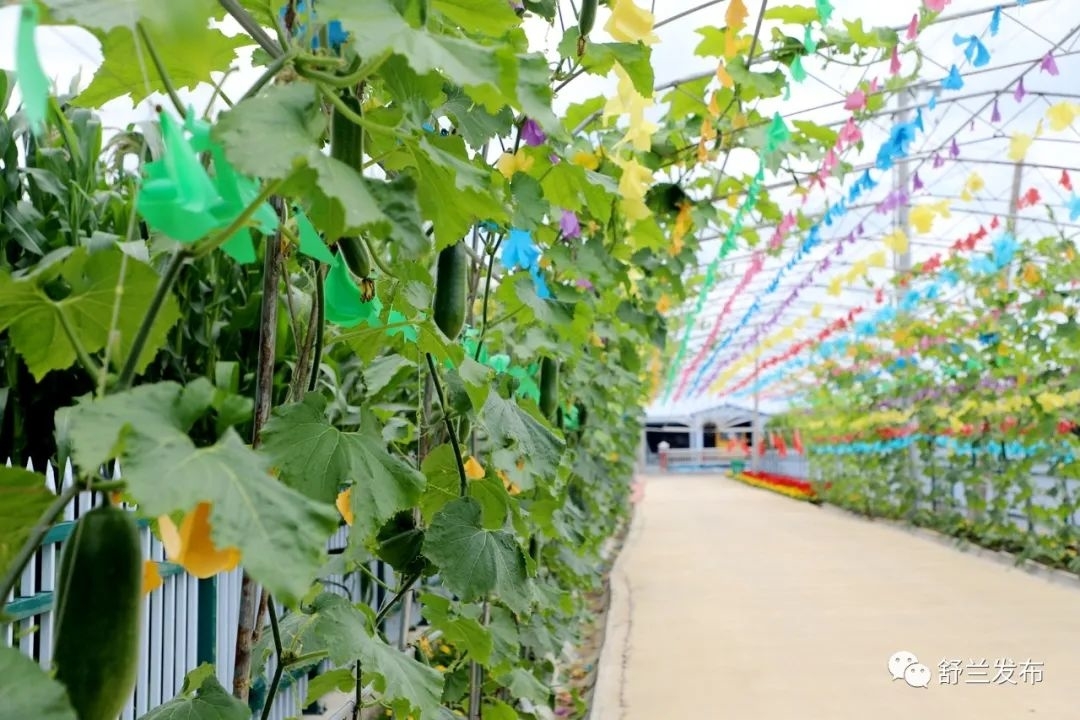 乡村振兴丨舒兰市白旗镇岗子村打造&ldquo;果树村&rdquo;新名片