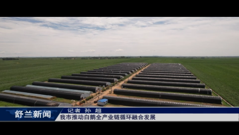 舒兰市推动白鹅全产业链循环融合发展