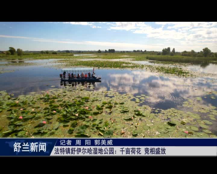 舒兰市法特镇舒伊尔哈湿地公园：千亩荷花 竞相盛放