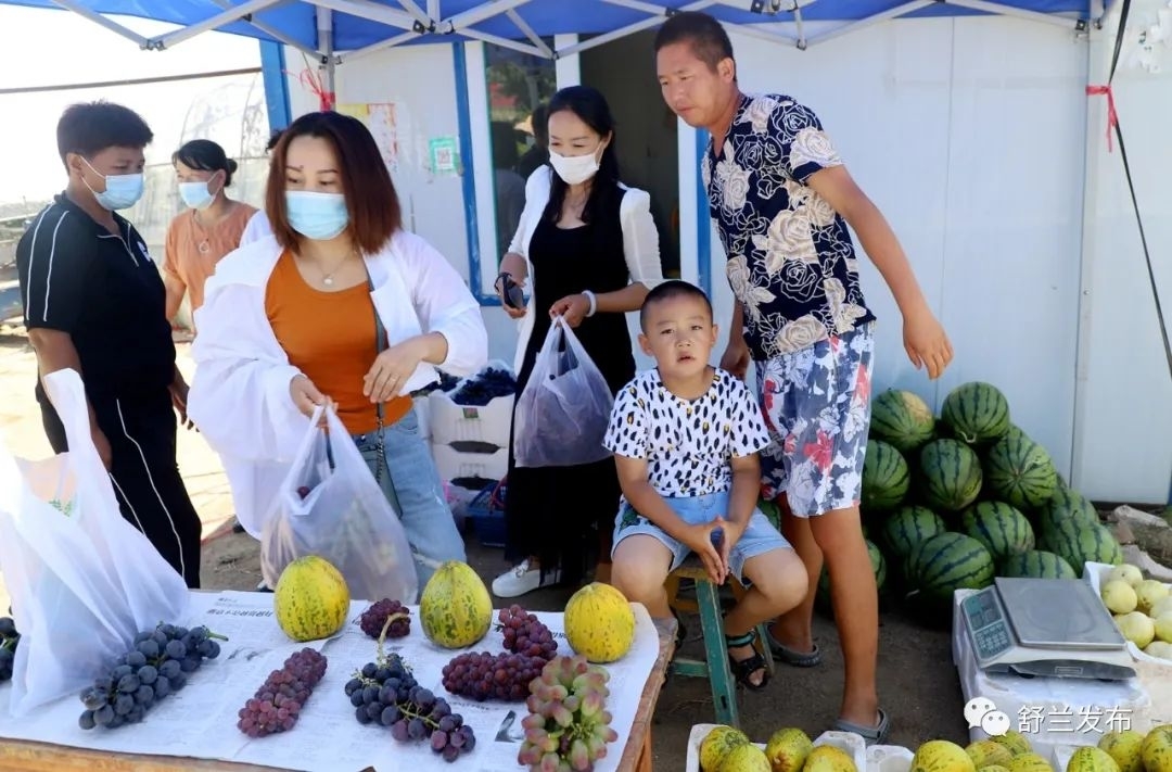 乡村振兴丨家有葡萄园 日子比蜜甜
