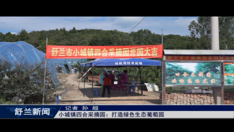 舒兰市小城镇四合采摘园：打造绿色生态葡萄园