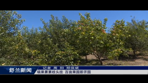 舒兰：硕果累累枝头挂 百亩果园即开园