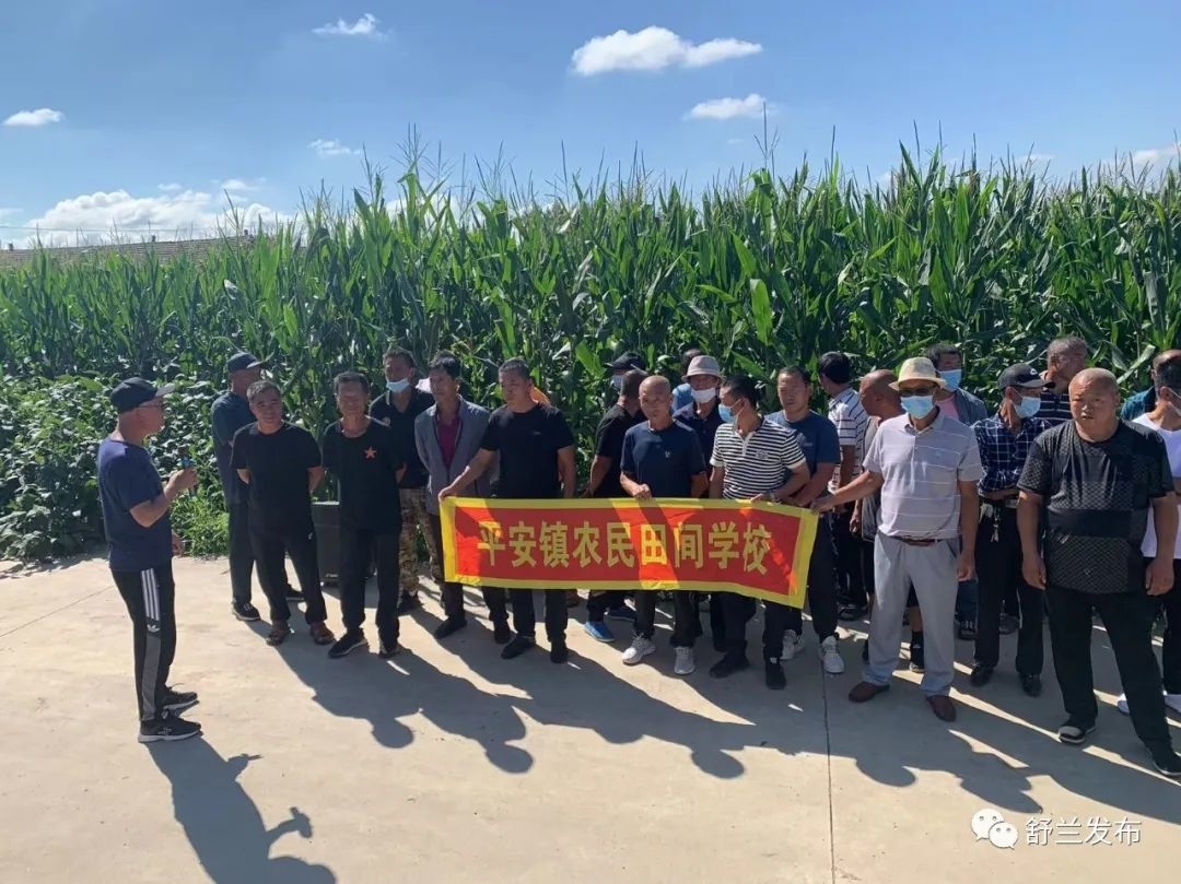 乡村振兴丨舒兰市平安镇开展免耕播种技术推广和农业科技园区试验成果展示现场会