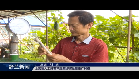 舒兰市上营镇人工培育羊肚菌即将批量推广种植