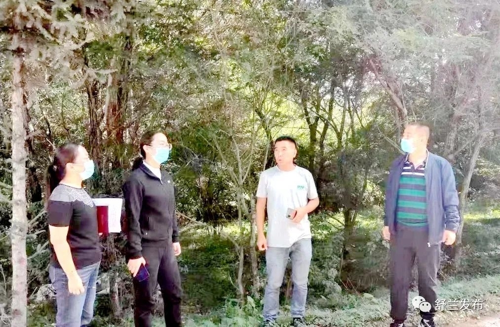 舒兰市领导开展巡林调研工作