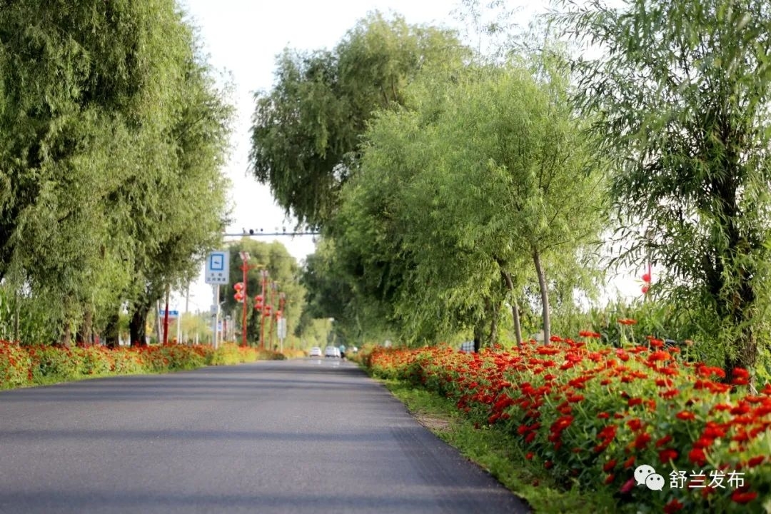 乡村振兴丨&ldquo;四好农村路&rdquo; 织就幸福网