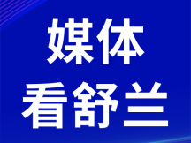 江城晚报 | 一张“兰”图绘到底 净美稻乡入画来