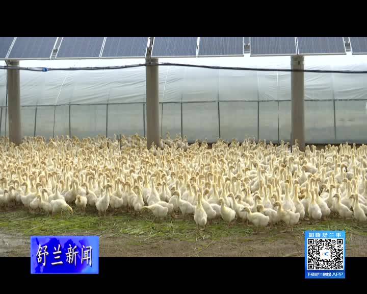 吉林市政协副主席、吉林市工商联主席陈东到舒兰市调研