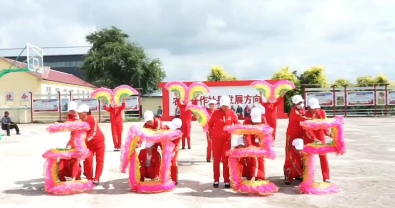 乡村振兴丨舒兰市平安镇开展美丽乡村健康走活动