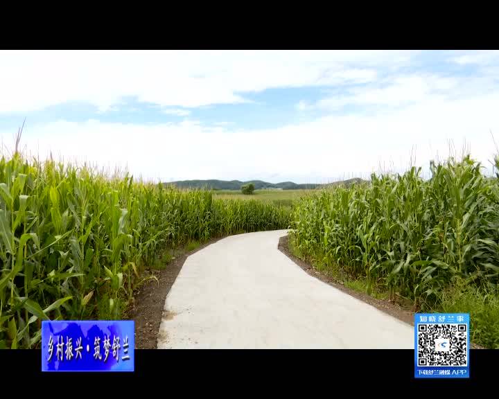 舒兰市水曲柳镇高标准农田项目建设助推粮食生产安全丰收