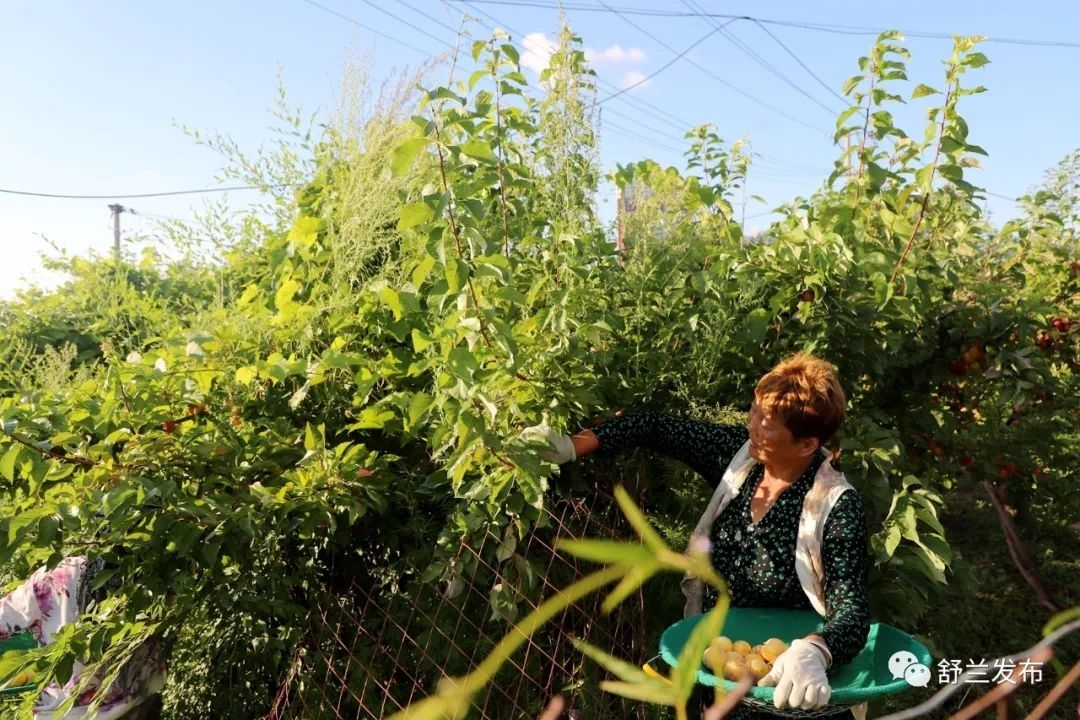 乡村振兴丨皓越家庭农场实现&ldquo;种养双收&rdquo;