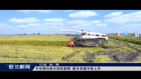 舒兰市平安镇抢抓水稻收割期 新米有望中秋上市