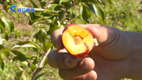 舒兰市水曲柳镇胡子沟生态农场正式对外营业