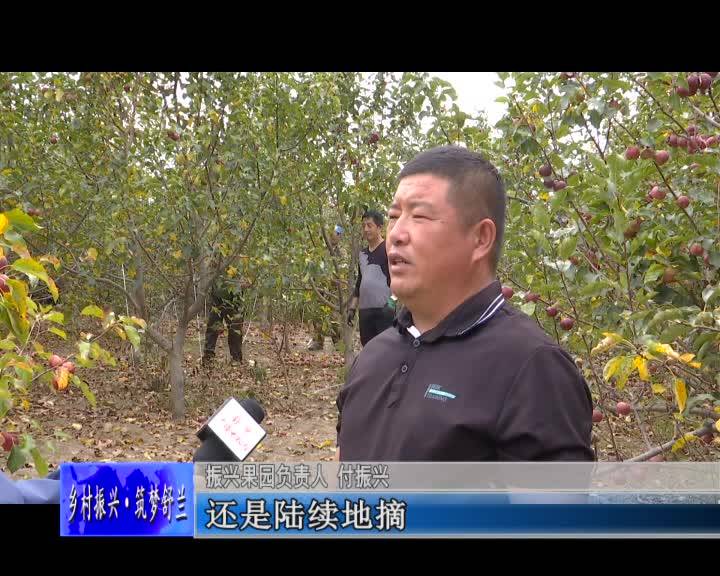 舒兰：龙丰果映红乡村振兴路