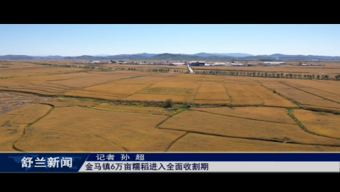 舒兰市金马镇6万亩糯稻进入全面收割期
