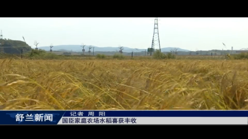 舒兰：国臣家庭农场水稻喜获丰收