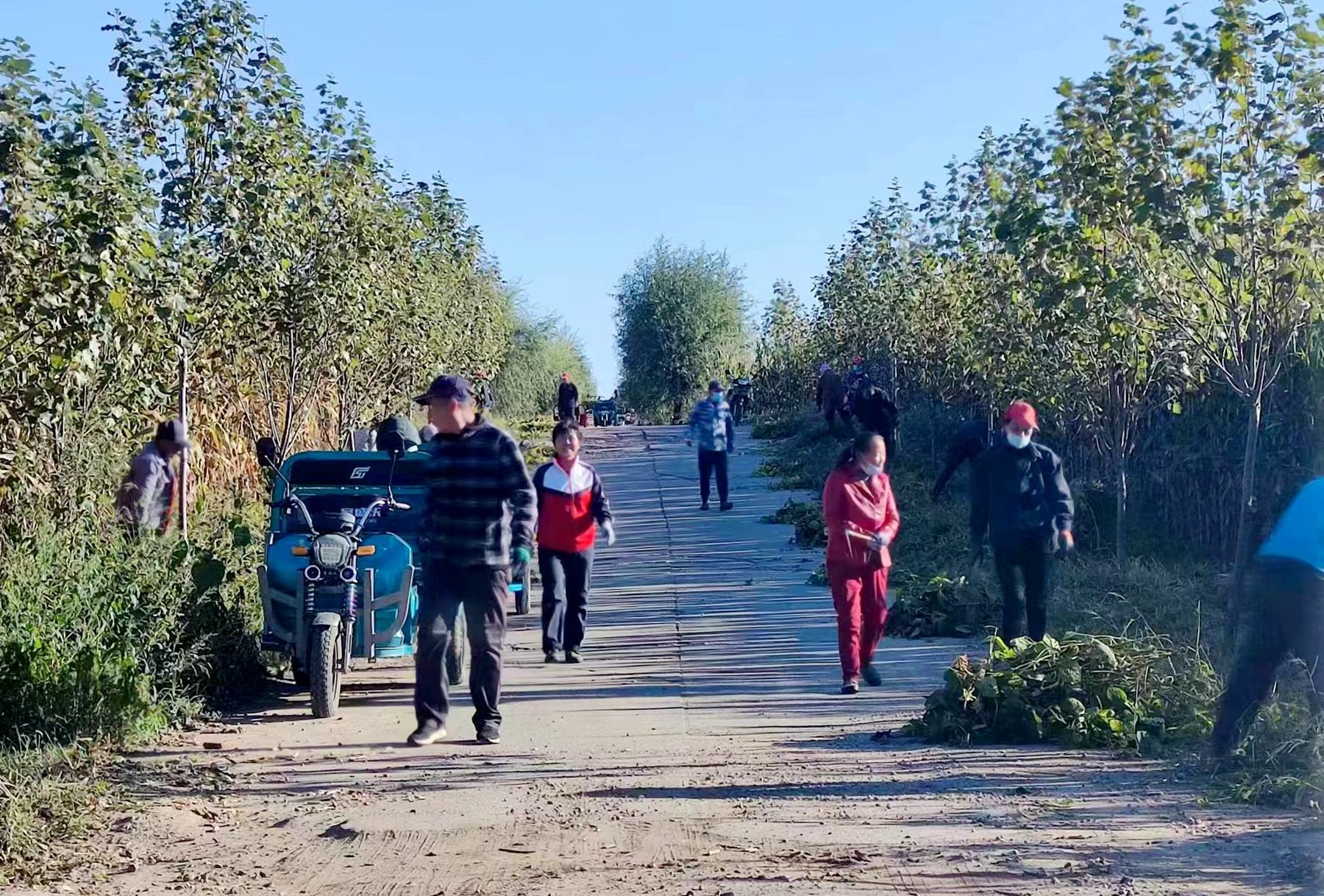 创城进行时丨舒兰：干群齐参与 城乡共创城