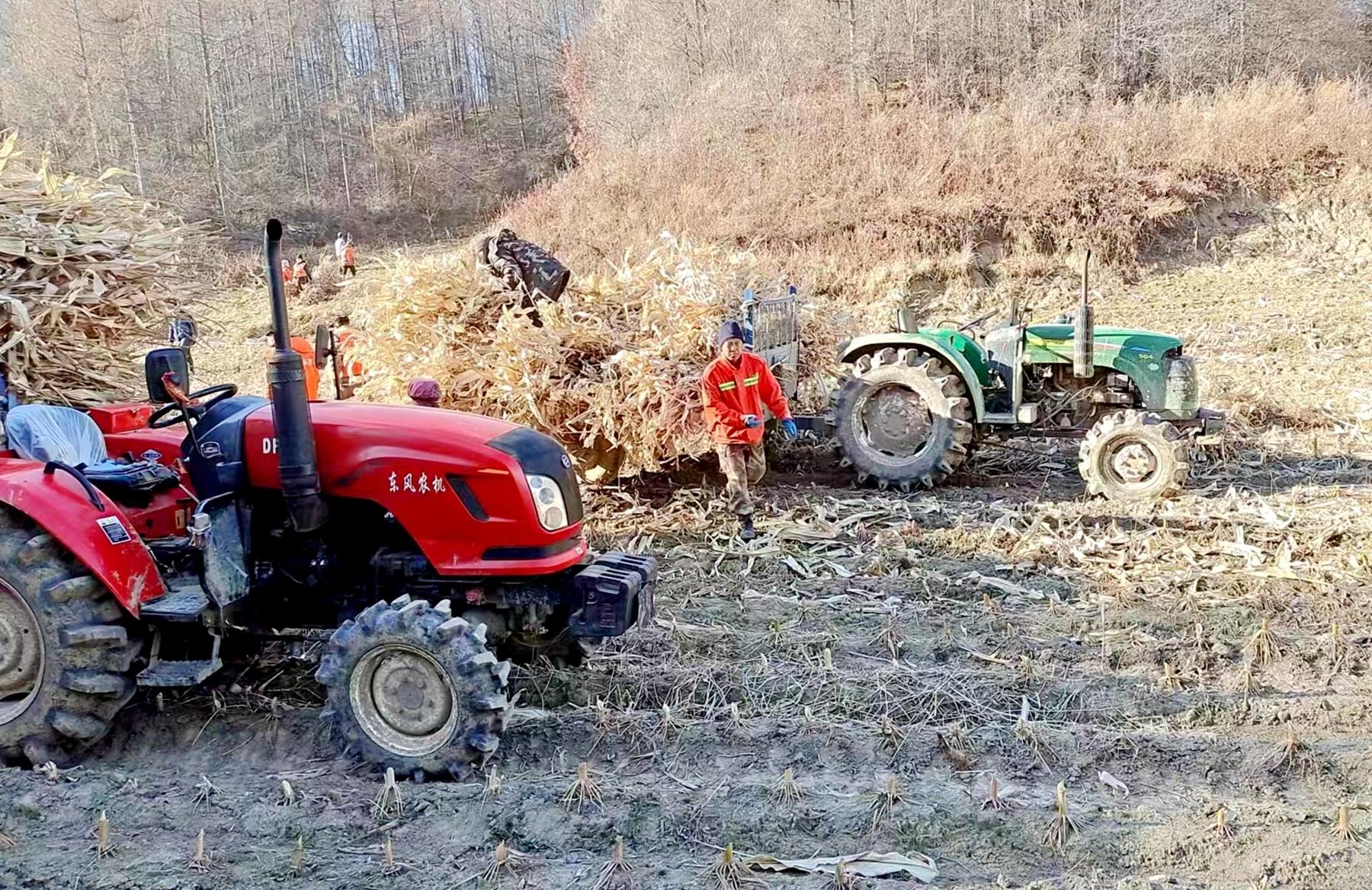 舒兰市大北林场开展林缘周边秸秆清理工作
