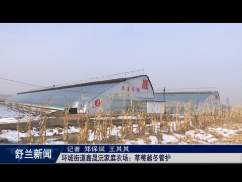 舒兰市环城街道鑫晟沅家庭农场：草莓越冬管护