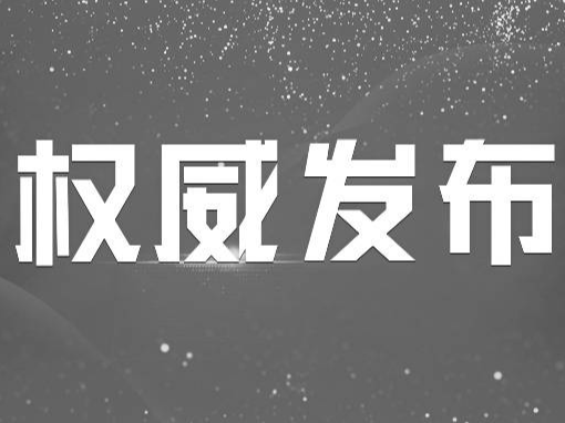 二十大报告金句