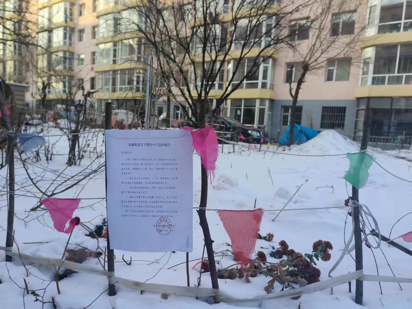 创城进行时丨舒兰市北城街道开展整治&ldquo;小片荒&rdquo;行动