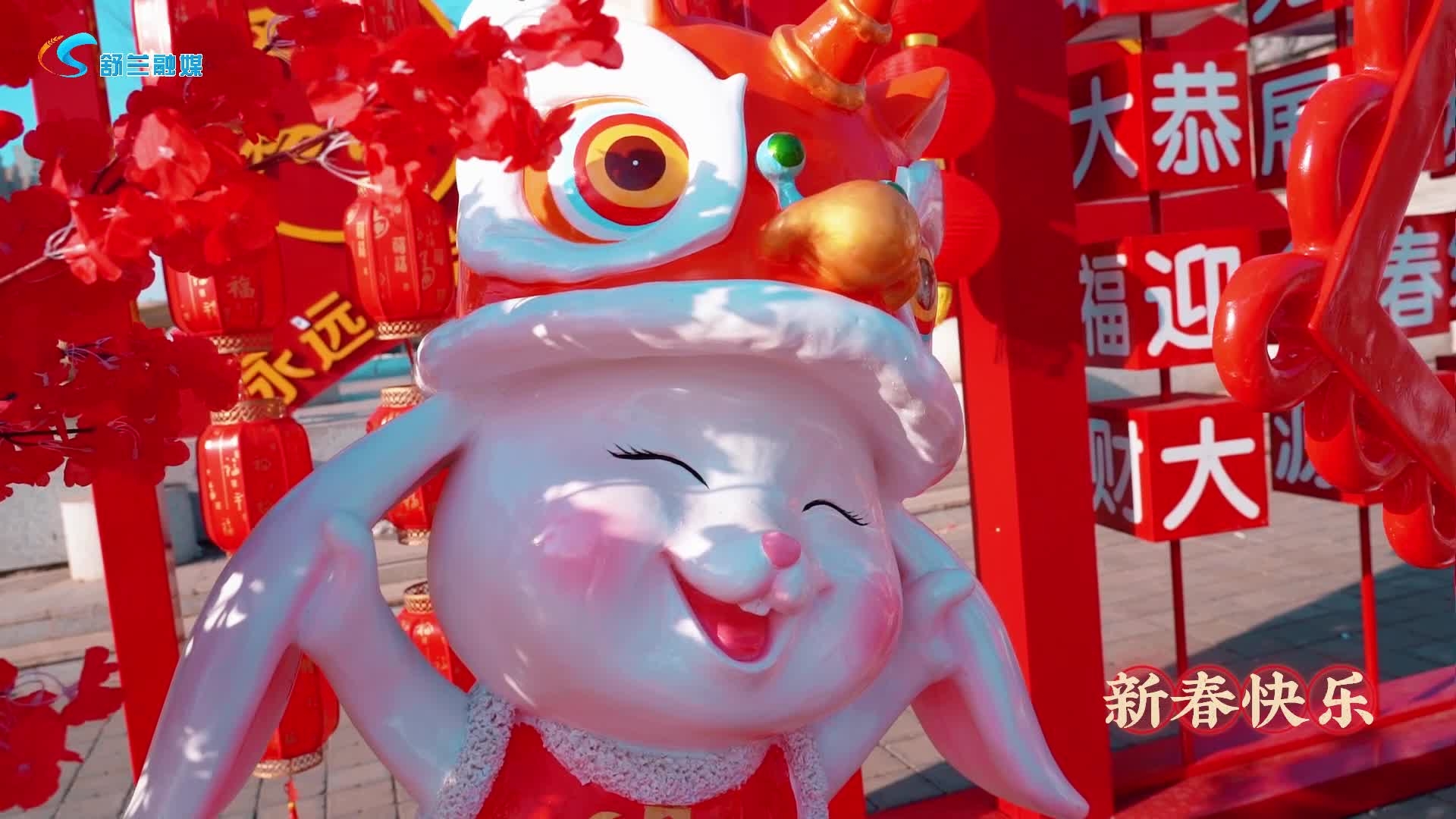 美丽舒兰 福兔贺春