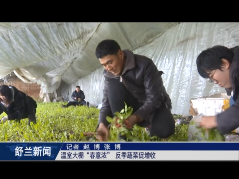 舒兰：温室大棚&ldquo;春意浓&rdquo; 反季蔬菜促增收