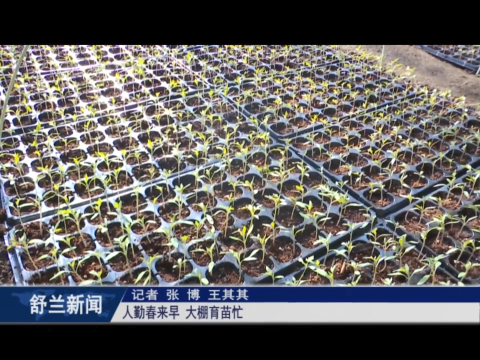 舒兰：人勤春来早 大棚育苗忙