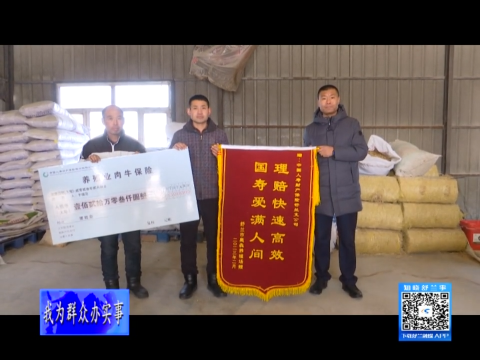 中国人寿财险彰显央企担当 为养殖户保驾护航