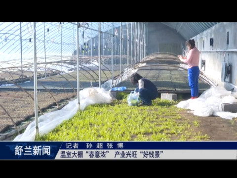 舒兰市：温室大棚&ldquo;春意浓&rdquo; 产业兴旺&ldquo;好钱景&rdquo;