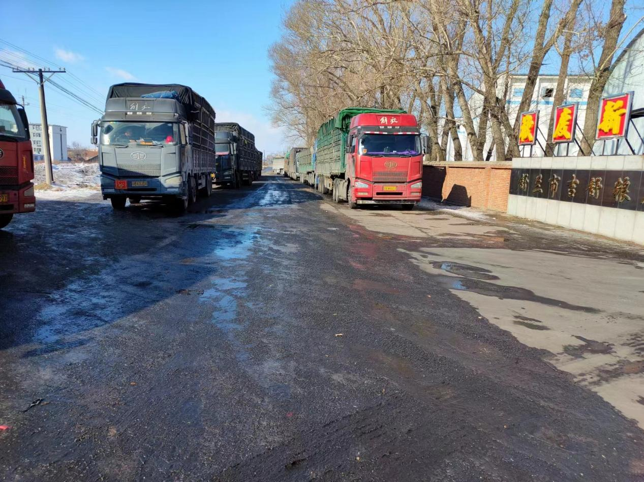 备春耕丨舒兰市吉舒粮库开仓收粮 缓解农民卖粮难题