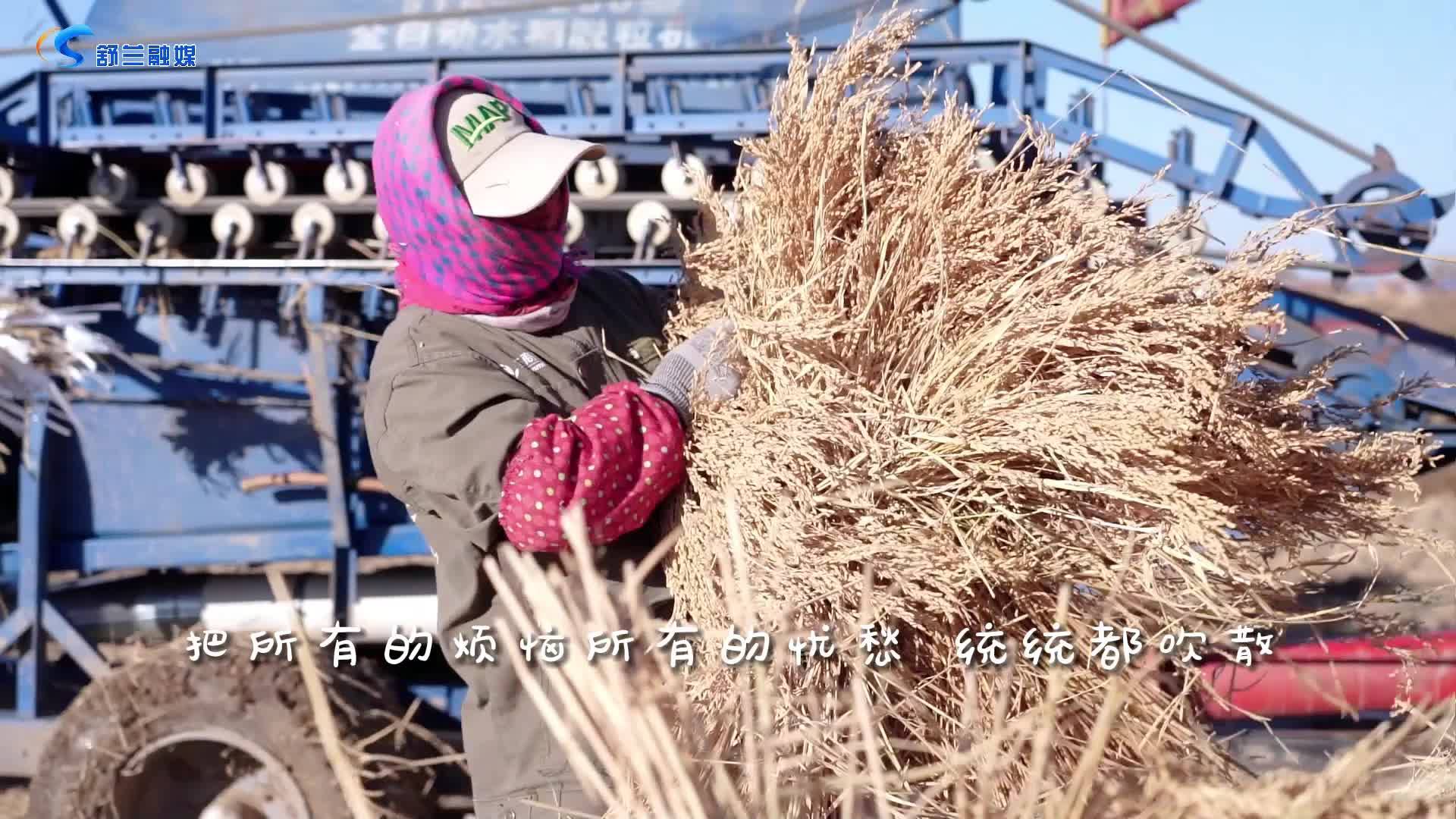 致敬了不起的她