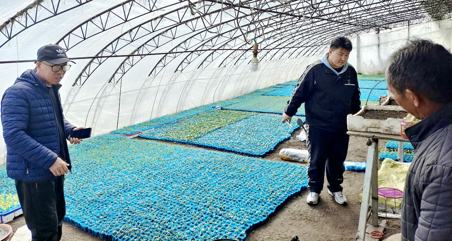 舒兰市平安镇：不负春光起好步 暖棚育苗正当时