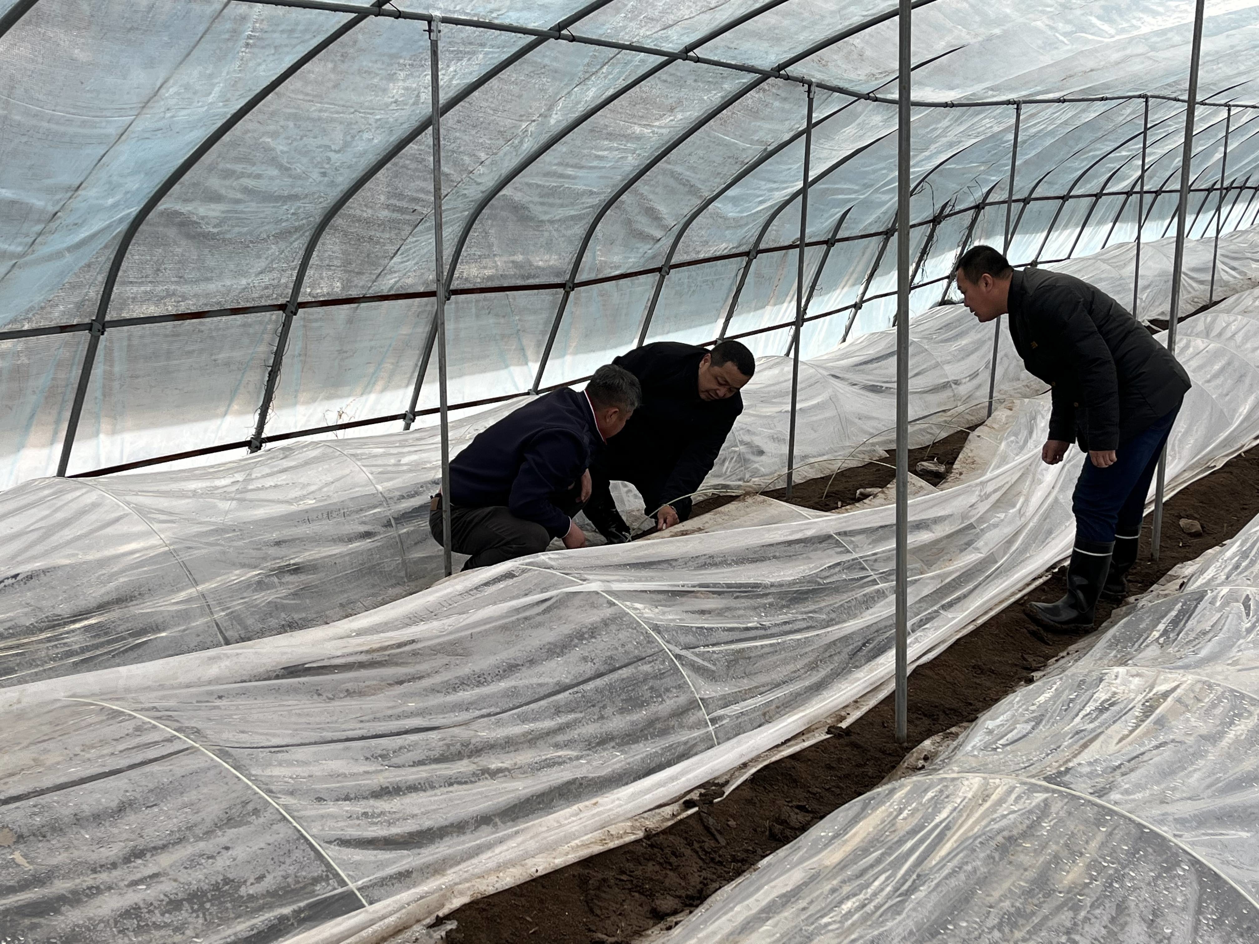 舒兰市上营镇：羊肚菌产业助农增收