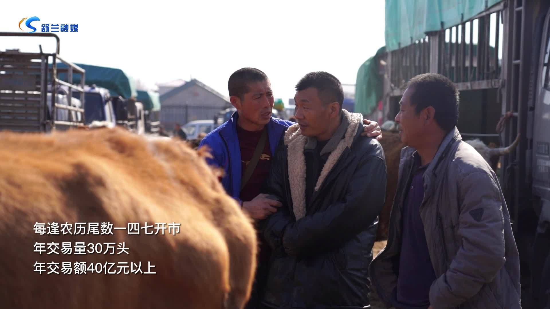 舒兰市博飞牲畜交易中心